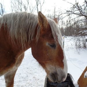 Meet your Posher, Cindy